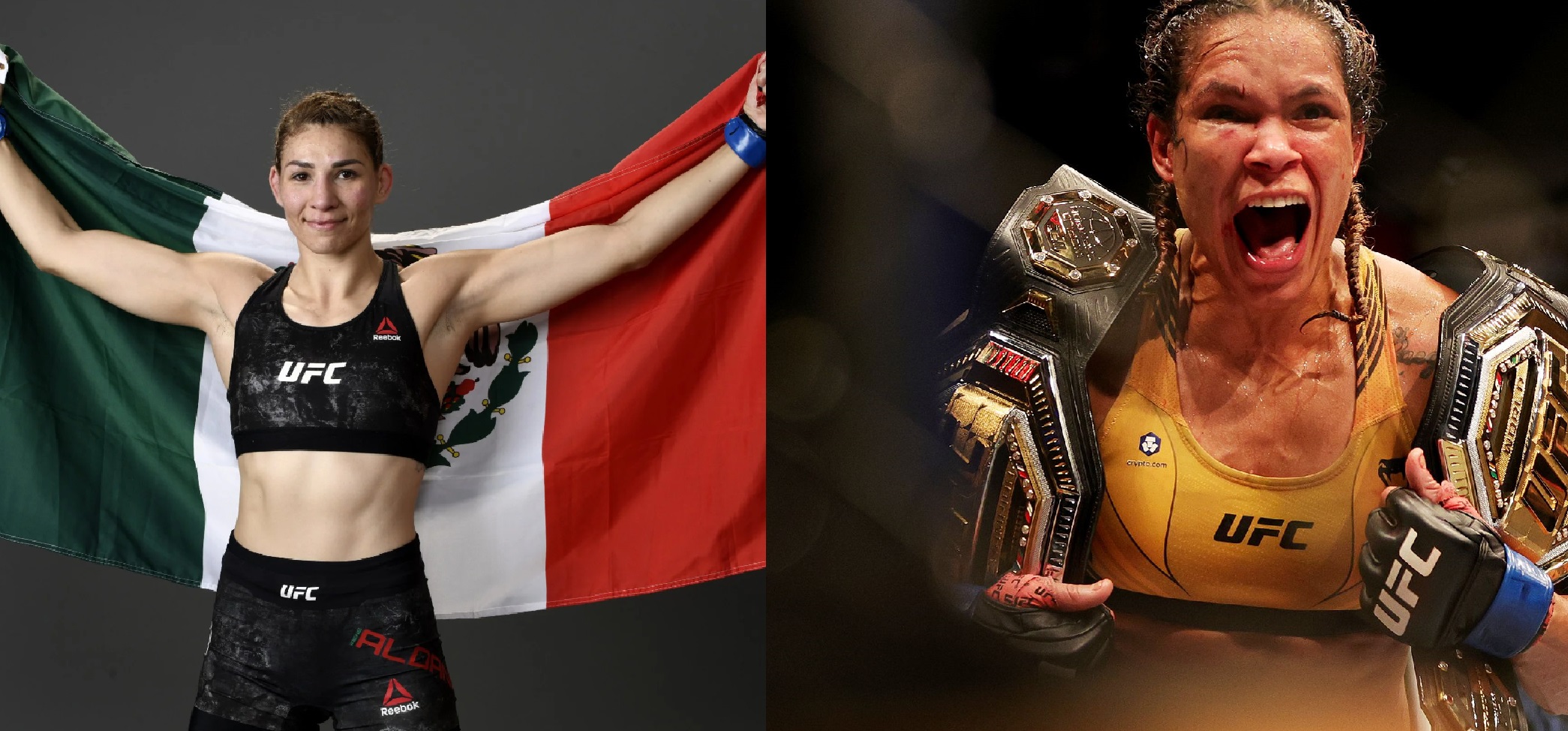 Irene Aldana vs Amanda Nunes