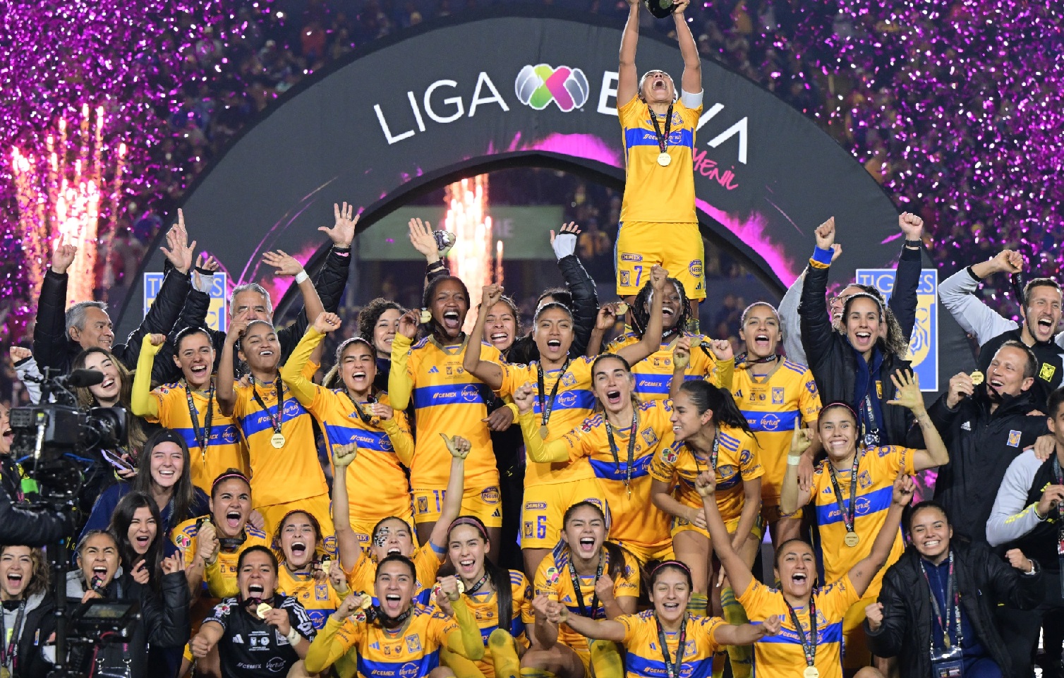 Tigres champion soccer