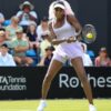 Venus Williams Birmingham